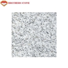 A pedra branca do granito do sésamo feito sob encomenda do tamanho telha 0,28% absorções de água