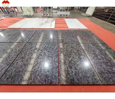 Melhore seus interiores com o chão polido de quartzita preta clássica Versaceblack