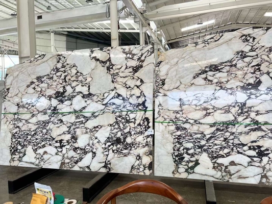 Calacatta Viola placas de mármore pedra italiana intemporal para projetos de cozinha e banheiro