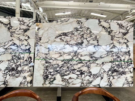 Calacatta Viola placas de mármore pedra italiana intemporal para projetos de cozinha e banheiro