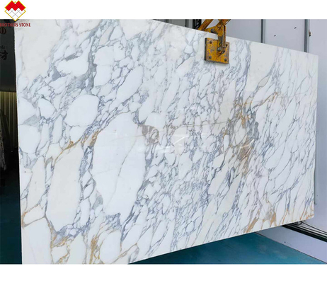 Parede e piso de design moderno de mármore branco neve de mesa com veias marrons