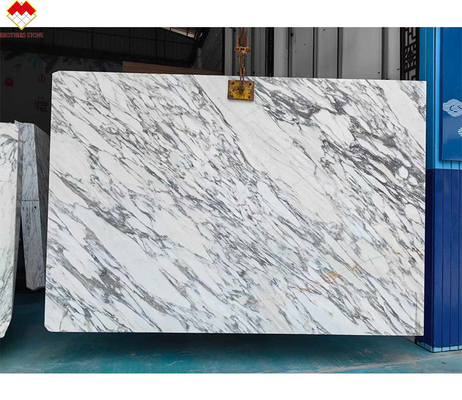 Parede e piso de design moderno de mármore branco neve de mesa com veias marrons
