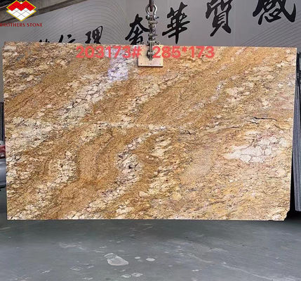 Hotel de Design Moderno Granito Branco Ornamental com Veias Douradas 20mm Grandes Chapas Polidas