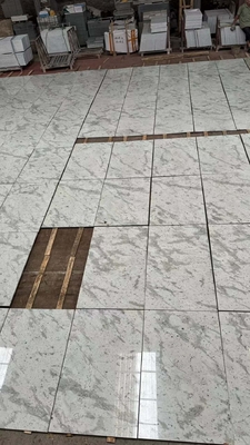 Andrômeda Brasileira Chapas de granito branco para balcões Paredes Escalas Escolha popular