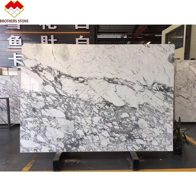 Estatuário Venato Mármore Itália Mármore Branco Arabescato Mármore Pedra para Vanity Top