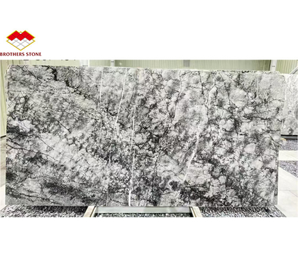 Design Gráfico Pedra Natural Itália Silver Fir Marmore Floor Tile para sala de estar