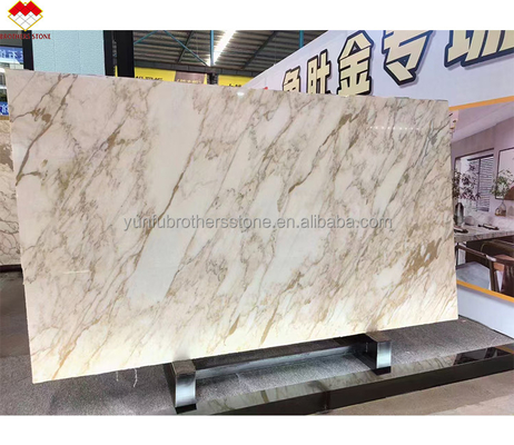 Comércio FOB Modern Calacatta Gold Marble Slab da Itália para piso de parede