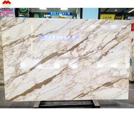 Comércio FOB Modern Calacatta Gold Marble Slab da Itália para piso de parede
