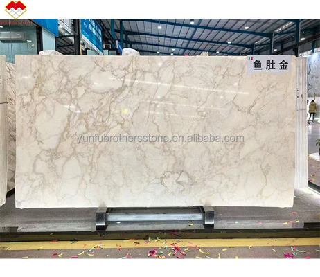 Comércio FOB Modern Calacatta Gold Marble Slab da Itália para piso de parede