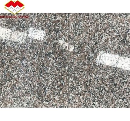 Modern G664 Fornecedores Chapas de Granito 60x60 Porrno Chapas de Granito para Desenhos Gráficos do Parque