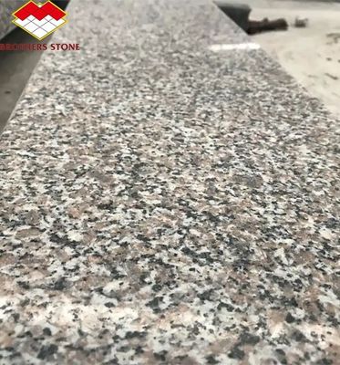 Modern G664 Fornecedores Chapas de Granito 60x60 Porrno Chapas de Granito para Desenhos Gráficos do Parque