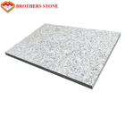 a primeira categoria afiou da laje cinzenta da pedra de pavimentação das lajes do granito G603 a boa resistência à corrosão