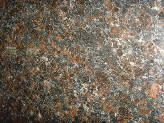 Mpa 14,5 Tan Brown Granite Stone Tiles natural para etapas